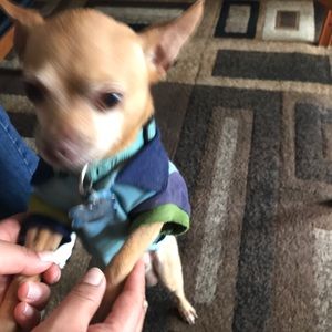 Meet your Posher, Jose